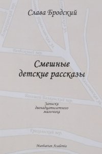 Смешные детские рассказы. Записки двенадцатилетнего мальчика