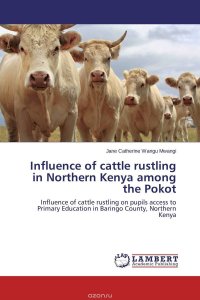 Influence of cattle rustling in Northern Kenya among the Pokot