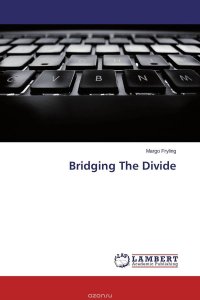 Bridging The Divide