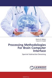 Processing Methodologies For Brain Computer Interface