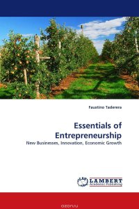 Essentials of Entrepreneurship