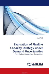 Evaluation of Flexible Capacity Strategy under Demand Uncertainties