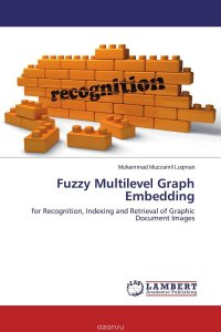 Fuzzy Multilevel Graph Embedding