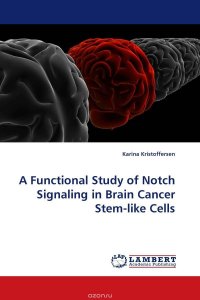 A Functional Study of Notch Signaling in Brain Cancer Stem-like Cells