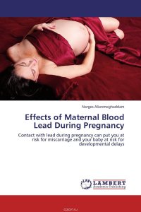 Effects of Maternal Blood Lead During Pregnancy