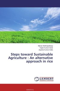 Steps toward Sustainable Agriculture : An alternative approach in rice