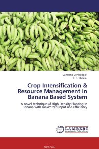 Crop Intensification & Resource Management in Banana Based System