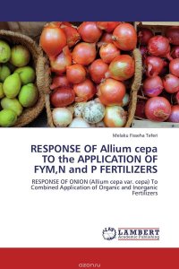 Melaku Fisseha Teferi - «RESPONSE OF Allium cepa TO the APPLICATION OF FYM,N and P FERTILIZERS»