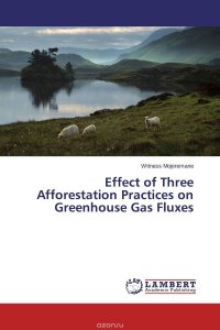 Effect of Three Afforestation Practices on Greenhouse Gas Fluxes