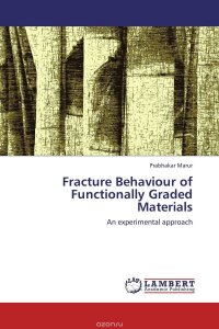 Fracture Behaviour of Functionally Graded Materials