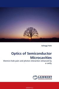 Optics of Semiconductor Microcavities