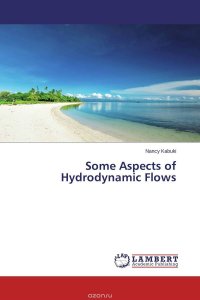 Nancy Kabuki - «Some Aspects of Hydrodynamic Flows»