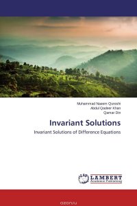 Invariant Solutions