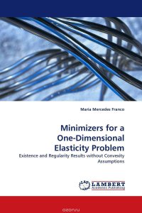 Minimizers for a One-Dimensional Elasticity Problem