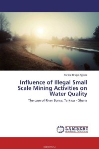 Influence of Illegal Small Scale Mining Activities on Water Quality