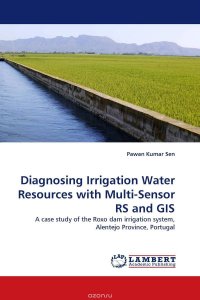 Diagnosing Irrigation Water Resources with Multi-Sensor RS and GIS