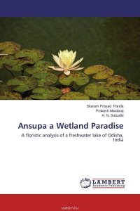 Ansupa a Wetland Paradise