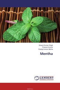 Mentha