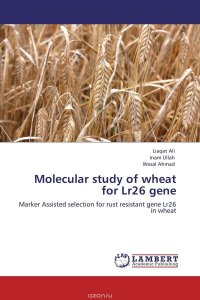 Molecular study of wheat for Lr26 gene