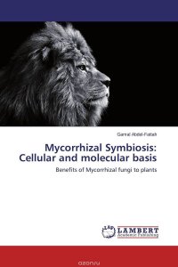 Mycorrhizal Symbiosis: Cellular and molecular basis