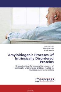 Amyloidogenic Proceses Of Intrinsically Disordered Proteins