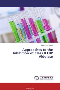 Approaches to the Inhibition of Class II FBP Aldolase