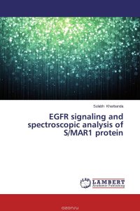 Sulabh Kharbanda - «EGFR signaling and spectroscopic analysis of S/MAR1 protein»