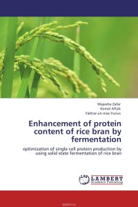 Enhancement of protein content of rice bran by fermentation