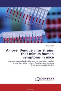 A novel Dengue virus strains that mimics human symptoms in mice