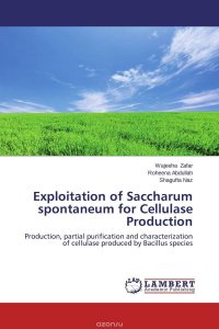 Wajeeha Zafar, Roheena Abdullah and Shagufta Naz - «Exploitation of Saccharum spontaneum for Cellulase Production»