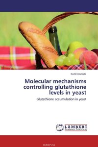 Molecular mechanisms controlling glutathione levels in yeast