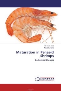 Maturation in Penaeid Shrimps