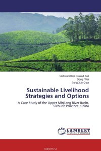 Sustainable Livelihood Strategies and Options