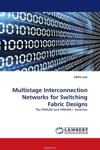 Multistage Interconnection Networks for Switching Fabric Designs