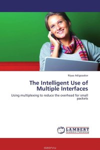 The Intelligent Use of Multiple Interfaces