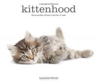 Kittenhood: Life-size Portraits of Kittens in Their First 12 Weeks