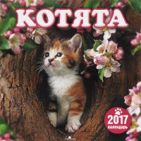 Перекидной календарь на 2017 год. Котята