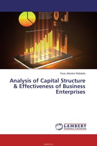 Analysis of Capital Structure & Effectiveness of Business Enterprises