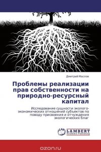 Проблемы реализации прав собственности на природно-ресурсный капитал