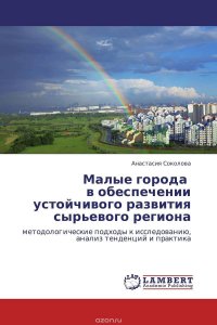 Малые города в обеспечении устойчивого развития сырьевого региона