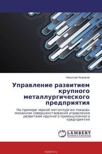 Управление развитием крупного металлургического предприятия