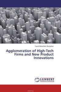 Agglomeration of High-Tech Firms and New Product Innovations