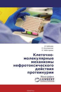 Клеточно-молекулярные механизмы нефротоксического действия протеинурии