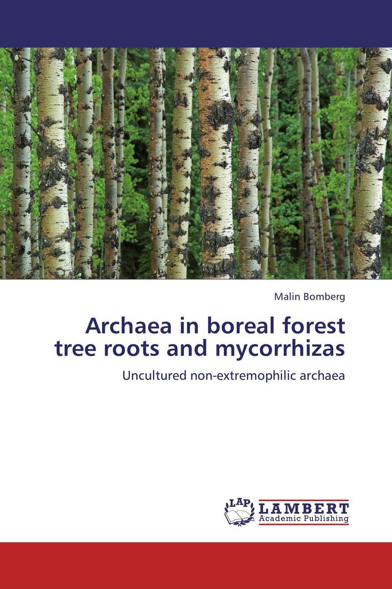 Archaea in boreal forest tree roots and mycorrhizas