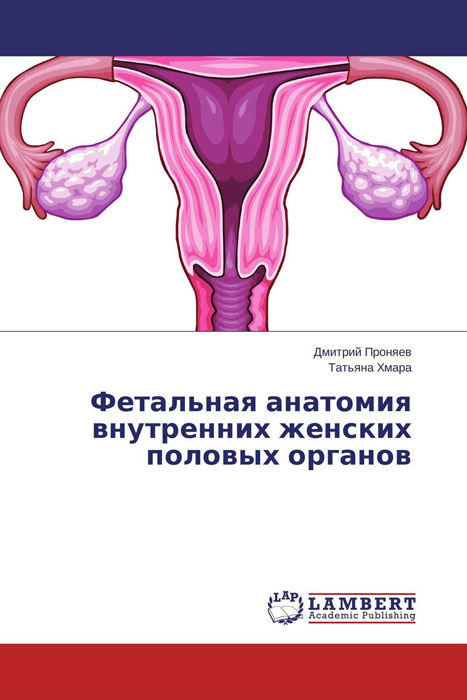 Фетальная анатомия внутренних женских половых органов