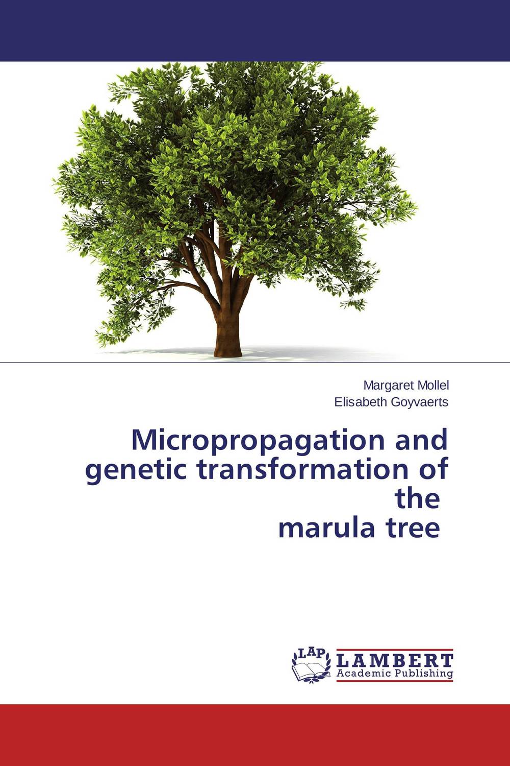 Micropropagation and genetic transformation of the marula tree