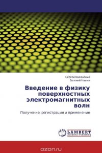 Введение в физику поверхностных электромагнитных волн