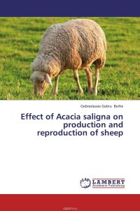 Effect of Acacia saligna on production and reproduction of sheep