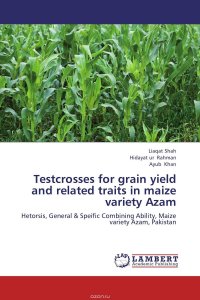 Testcrosses for grain yield and related traits in maize variety Azam