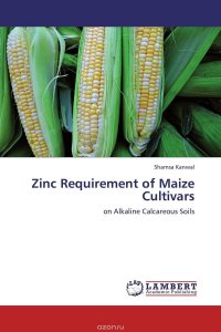 Zinc Requirement of Maize Cultivars